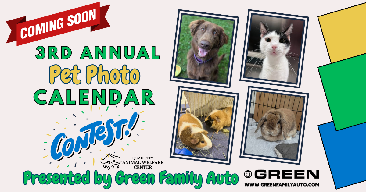 2026 pet photo calendar contest cover 1920 x 1080 px 2
